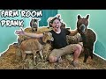 TURNED HIS ROOM INTO A FARM PRANK!! (LIVE ANIMALS *LLAMA, CHICKENS AND GOATS*)