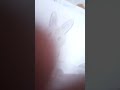 Cute Rabbit drawing 🐰 ||Vibhuti's World💖💕|| #cute #rabbit #🐰 #easy #beautiful #ytshorts #subscribe.
