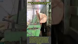 Streamlined Conveyor System for High-Speed Factory Wood processing Lines