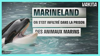 Marineland : On s'est infiltrés dans la prison des animaux !