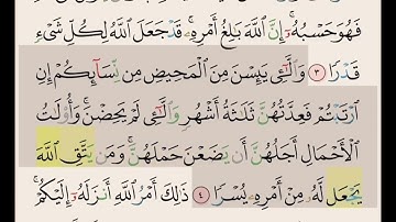سورة الطلاق ايه ٣و ٤ و ٥ مكررة ١٠ مرات بصوت الشيخ علي الحذيفي