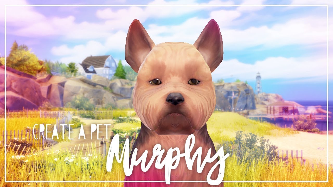 Creating My Real Dog in The Sims 4 YouTube