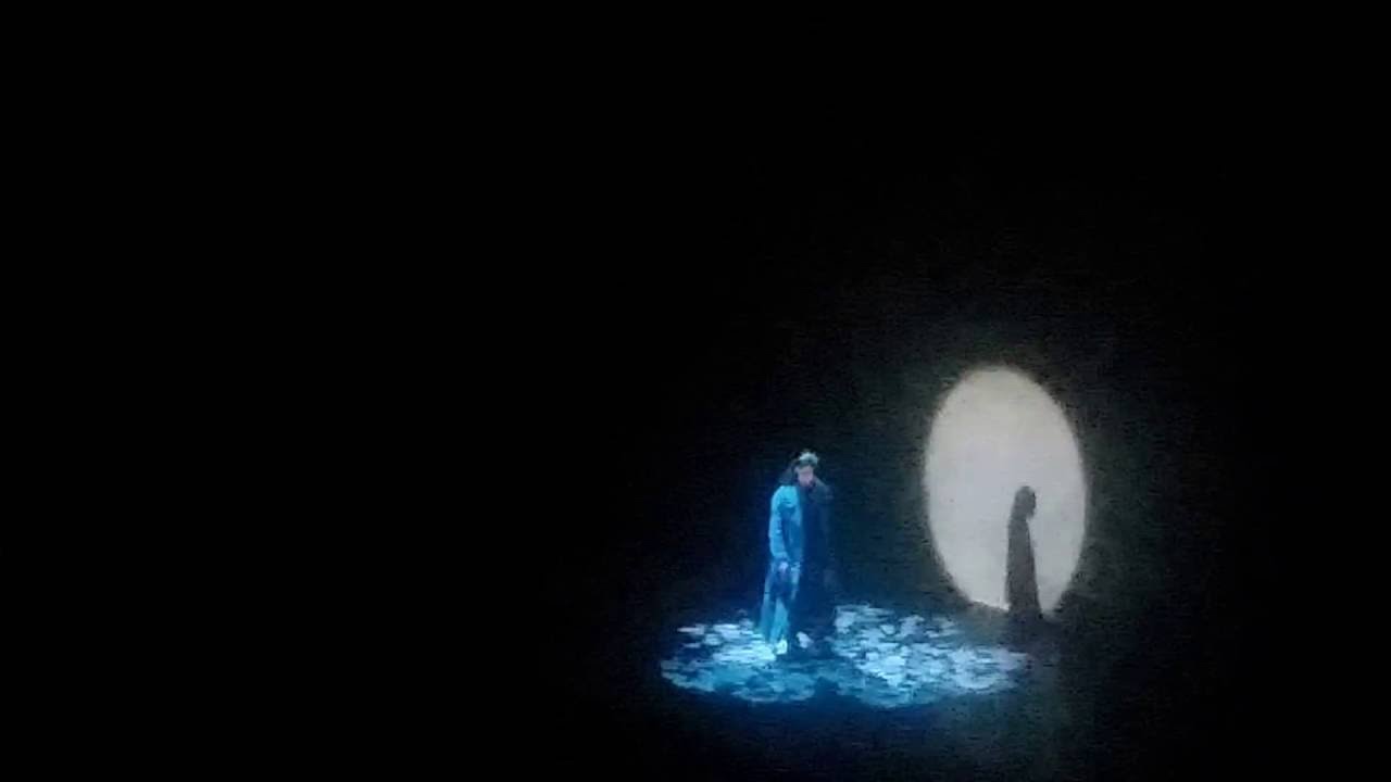 Luna notre dame de paris Matteo Setti