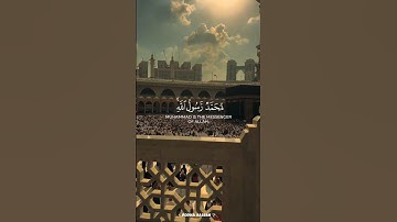 محمد رسول الله والذين معه اشداء على الكفار سورة الفتح (29) القارئ ياسر الدوسري #quran #quran #islam