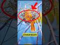 You Won’t Believe What This Bird Can Build! 🤯 #shorts #fails #trending