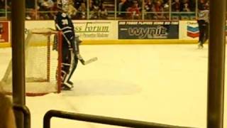 Toronto marlies goalie adam munro ...