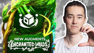 Information I Explained Every New Augment in TFT Set 18: Enchanted Wilds News