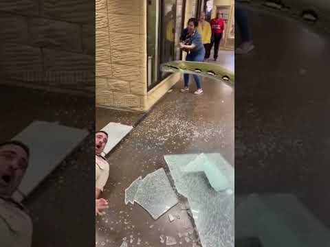 Massive Python Escapes Zoo