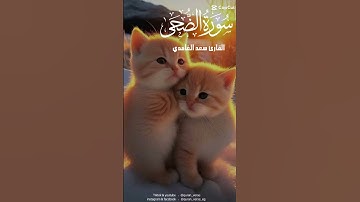 قرآن كريم سورة الضحى #اكسبلور #شير_واملى_الدنيا_قرآن #انشر_قرآن_ف_كل_مكان #قرآن #ديني #فريده_ديدا
