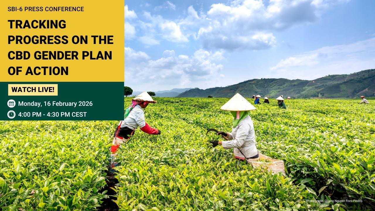 SBI-6 Press Conference: Tracking Progress on the CBD Gender Plan of Action
