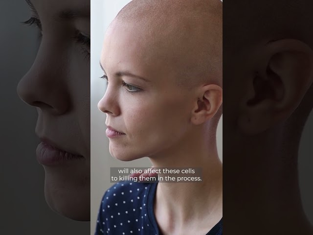 Hair loss after Chemotherapy - Dr Tasha #shorts #chemohairloss #chemotherapy #breastcancer class=