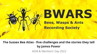 The Sussex Bee Atlas - five challenges and the stories they tell by James Power