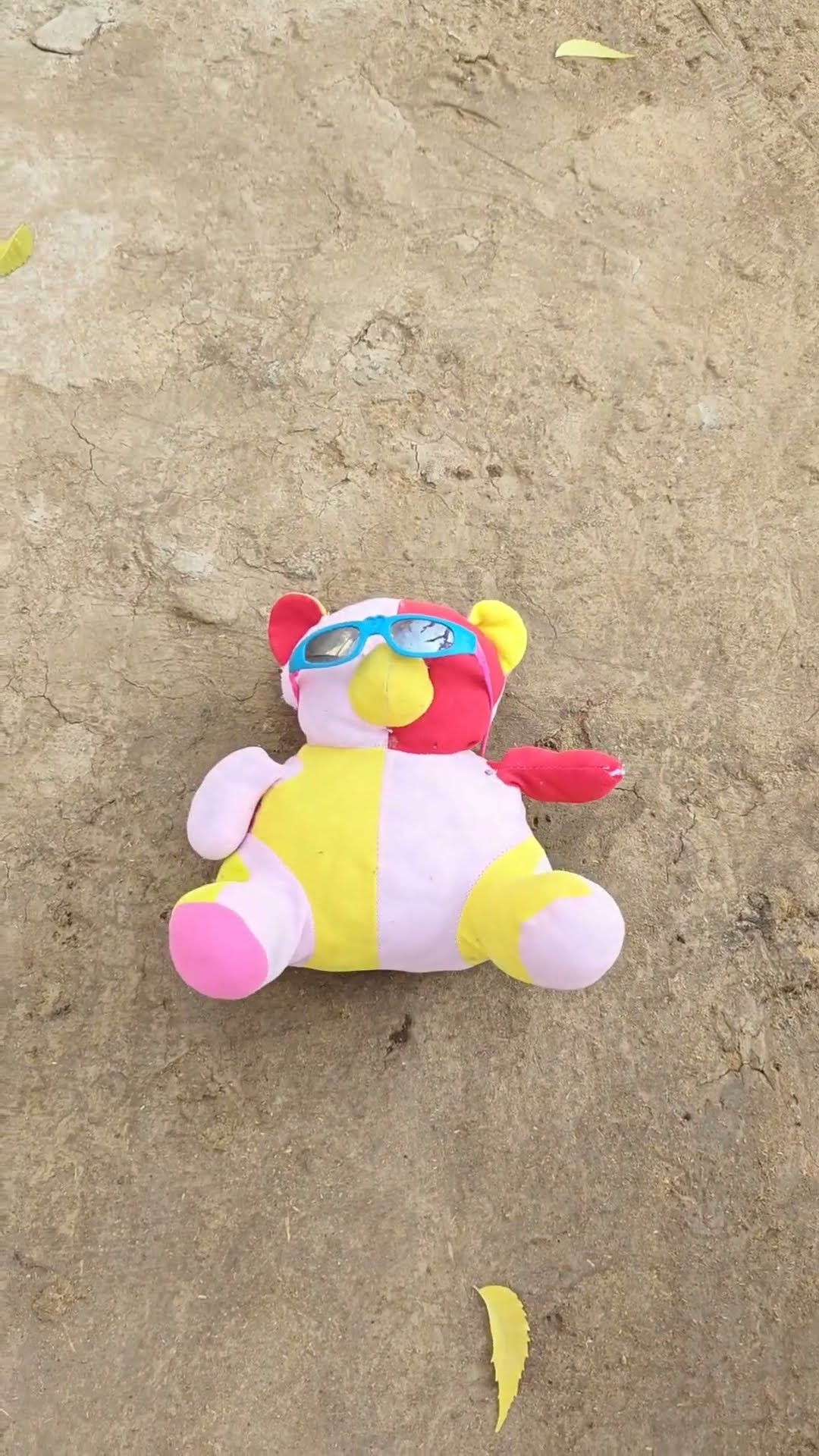 teddy ko niche Gira Diya ? #shorts