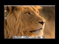 Free mac lion x pack for windows seven