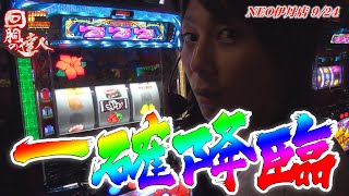 回胴の達人 vol.53