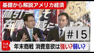 アメリカ年末商戦 消費意欲は強い？弱い？【滝沢孝祐の「基礎から解説 アメリカ経済」】（2022年11月25日）