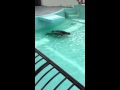わかば保育園の遠足2