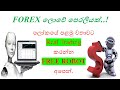 Forex Auto Trading Rammi Robot Testing And Free Download ...