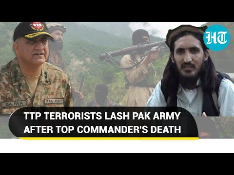 'Slave, dollar Army': TTP terrorists mock Pak military over co-founder's death in Afghanistan