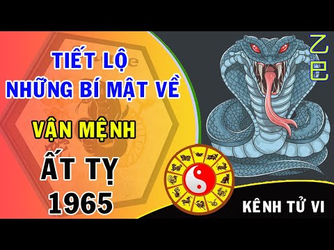 Video Tiết lộ những bí mật về vận mệnh tuổi Ất Tỵ 1965 Xuất... - youtube