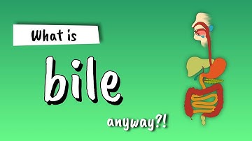 Bile Explained