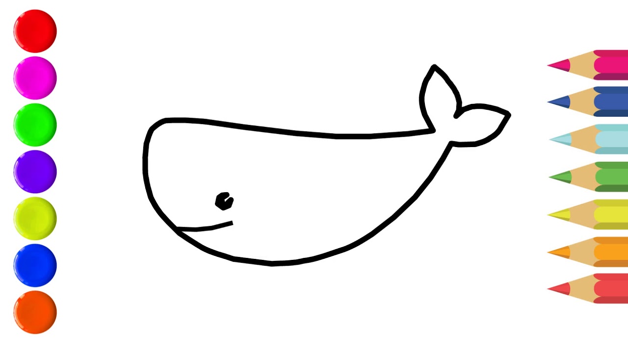 Baby Whale Coloring Baby Whale Drawing رسم تلوين رسم الحوت