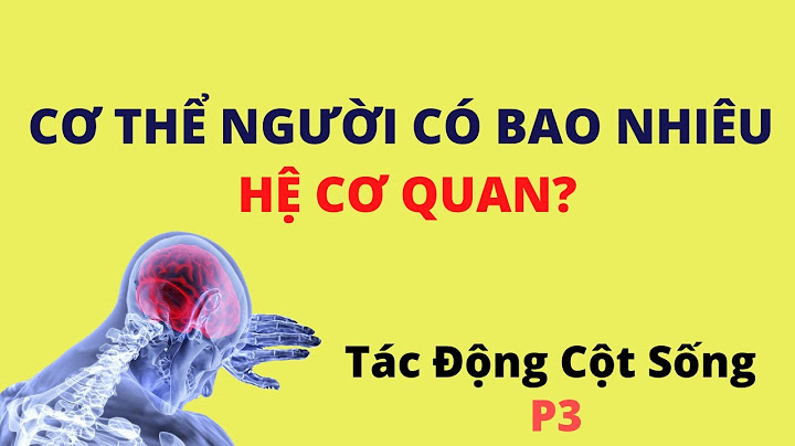 Cơ thể người có bao nhiêu hệ