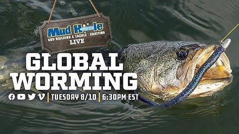 Global Worming - Mud Hole Live