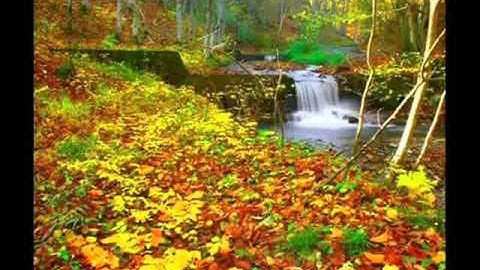 الشيخ ناصر الغامدي سورة الحديد Naser Al Ghamidi surah AL HADID - THE IRON