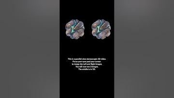 This is  a 3D video. Unfocus your eyes to merge the 3 images to see the effect #3deffects #3dvideo