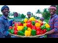 MUTTON CAPSICUM OMELETTE | Bell Pepper Omelette Recipe Cooking with Mutton Gravy | Village Cooking