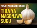 Kitunguu Saumu Ni Dawa Tazama Faida Zake 10 Za Kushangaza