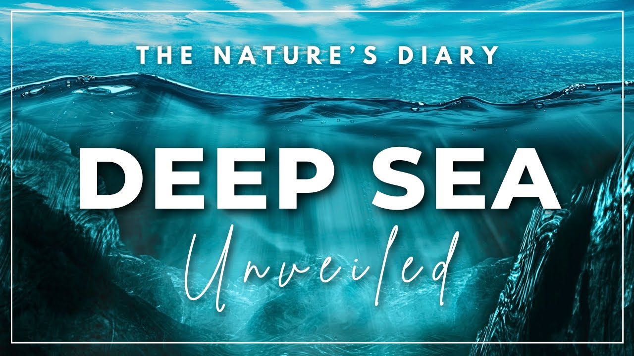 Mysteries of the Deep Sea | Deep sea Mining Documentary - YouTube