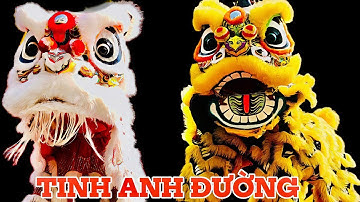 Đoàn Lân Sư Rồng TINH ANH ĐƯỜNG Múa Khai Trương Súp Cua CÔ BÔNG