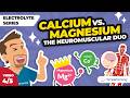 Calcium and Magnesium Imbalances for Nursing Students: The Neuromuscular Duo (Video 4 of 5)