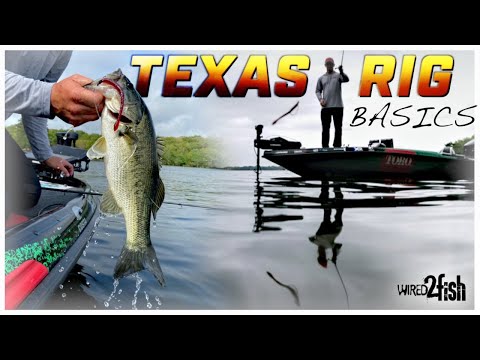 How to Rig and Fish Texas Rig Worms for Bass 