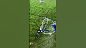 Whoever Invented This Is A Genius