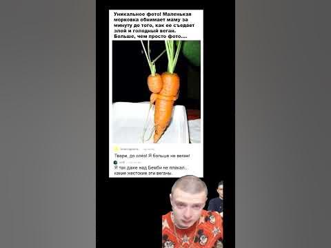 Семья морковок 😣 - YouTube