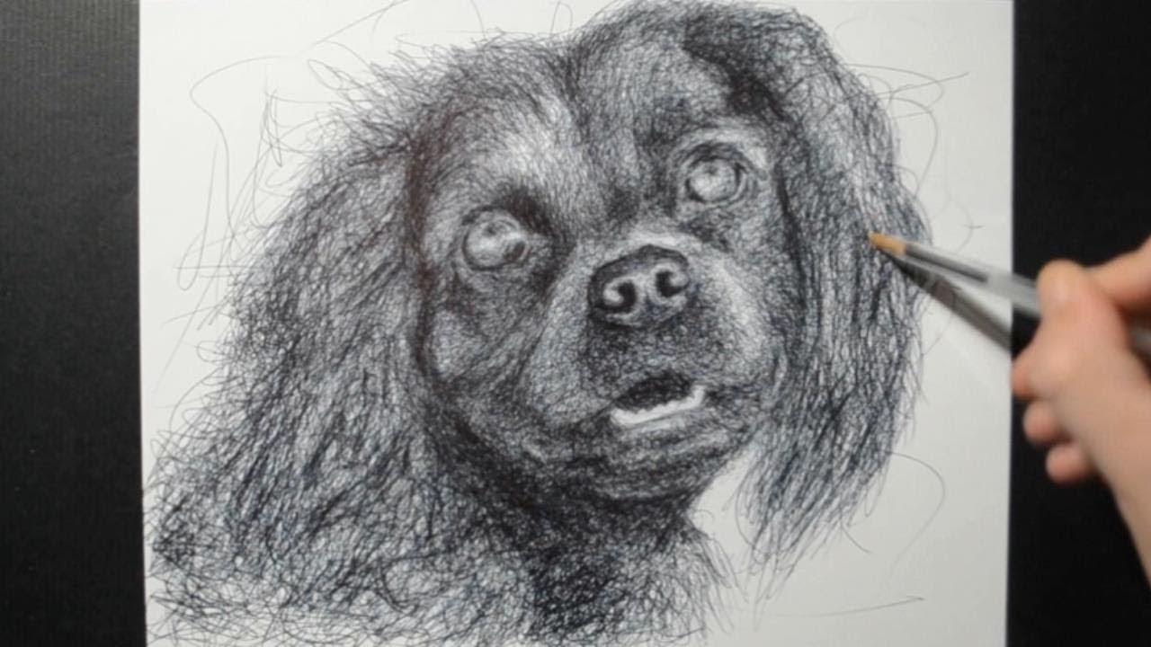 Draw Your Pets / Fan Request / Ballpoint Pen Dog Drawing / Scribble Art Therapy / Day 065