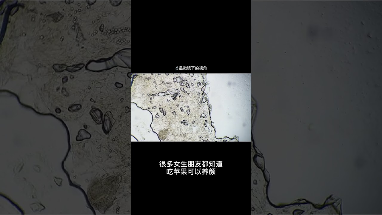 Apple Health Science Micro World Microscope