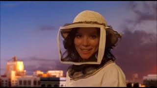 Moments From Season One That Make Me Want To Cry  Pushing Daisies