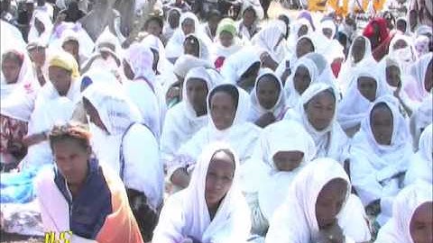 Eritrean TV - News - Conference about Agriculture Development Report in Maekel Region 2012 - HQ