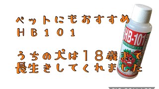 ペットにおすすめＨＢ１０１