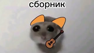 сборник видео симбочки (мой первый сборник) @simb