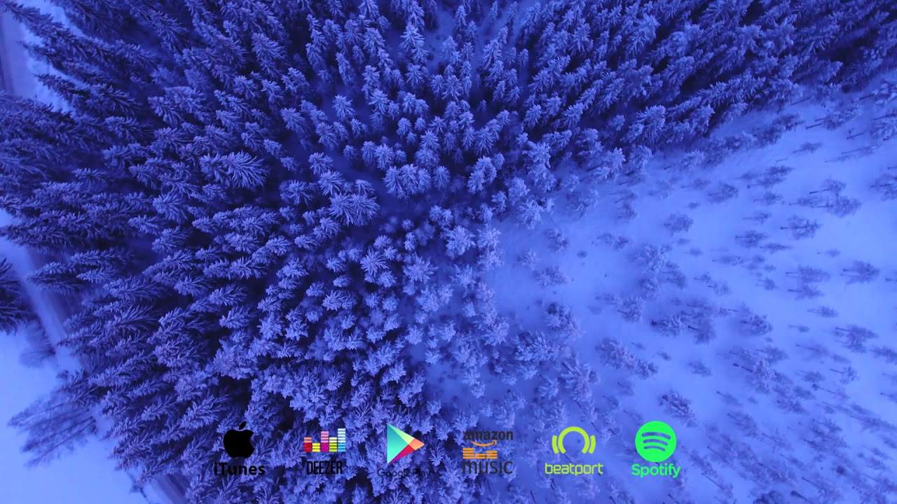 G Point - Forest ( Orheyn Remix )