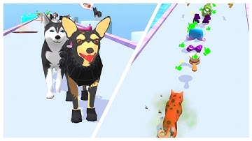 GROOMER RUN 3D 🐕🍖🐕‍🦺 Gameplay All Levels iOS, Android Walkthrough Game Mobile New Level