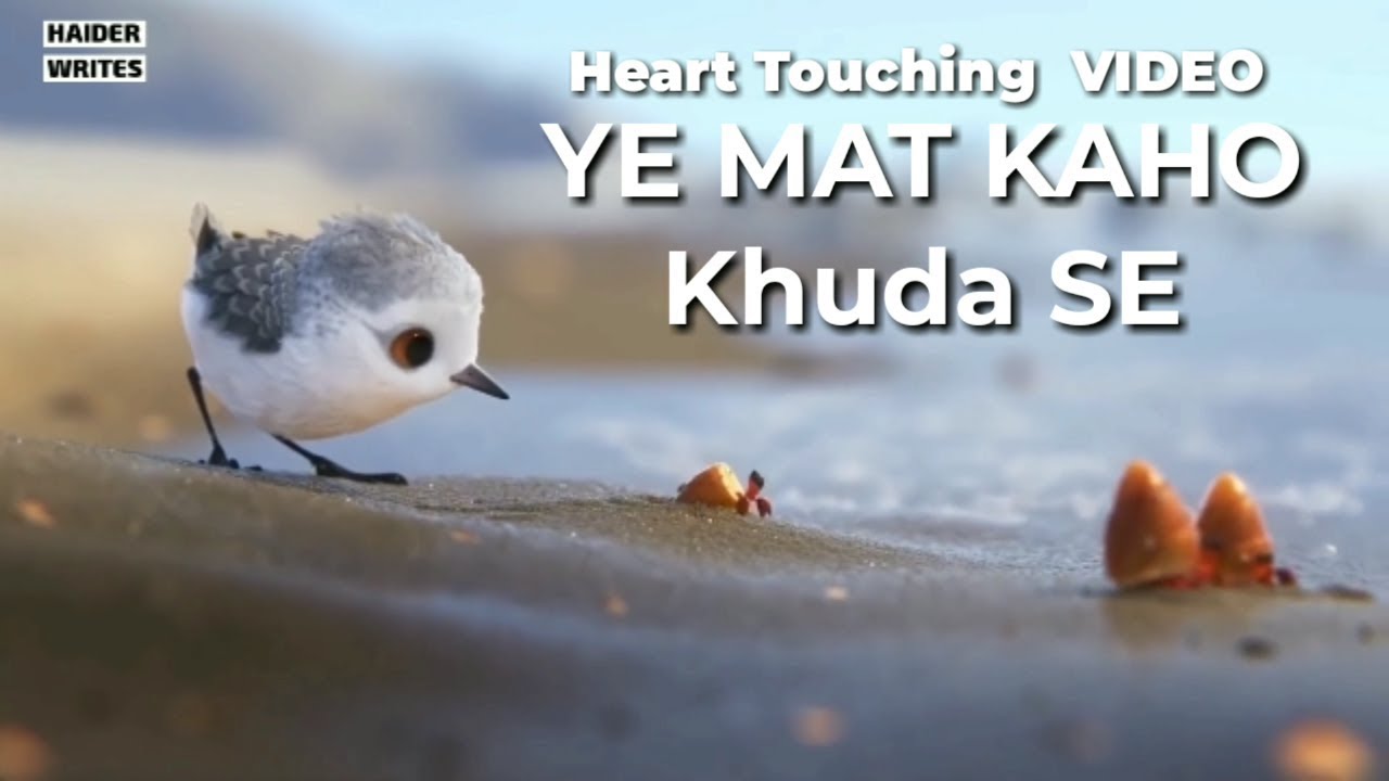 Mera Khuda Bara Hai Beautiful Little Bird Video   Whatsapp Status Islamic Sad Videos