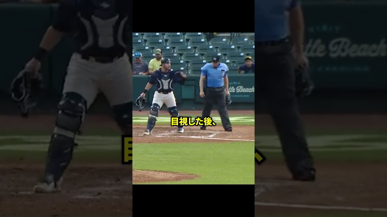 【驚愕】しらばっくれるバッターとやらかしたバッターまとめ #野球