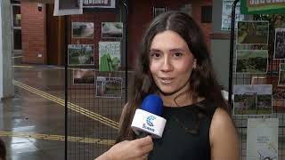 Um projeto desenvolvido em Pato Branco propõe um novo...