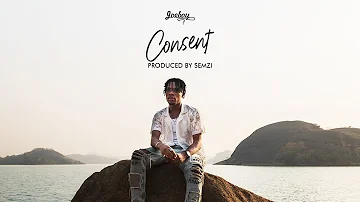 Joeboy - Consent (Lyric Visualizer)